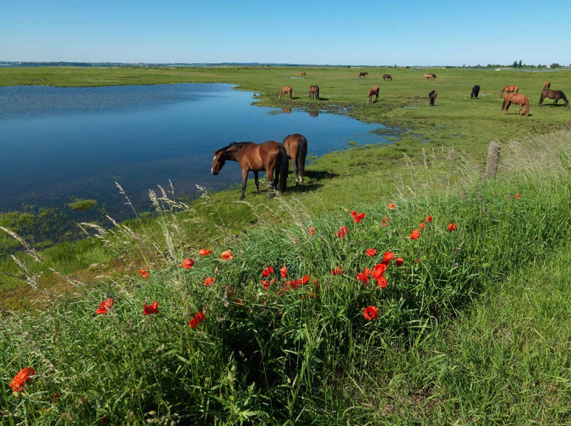 Inselhaeuser Kaltenhof Inselhaus Poel 1 Экстерьер фото